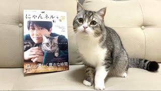 【祝】ついに雑誌デビューを果たした猫がこちらです！【もちまる日記】