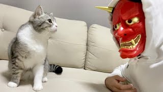 飼い主の顔が鬼になってたときの猫の反応がこちらw【もちまる日記】