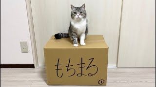 【ご報告】訳あって引越すことにしました。【もちまる日記】