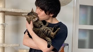 凶暴猫を抱っこしてキスをしてみた結果…【てん動画】