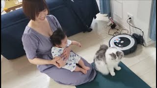 ズリバイの練習中なのにママに甘えまくる温厚猫もちとら【kokesukepapa】