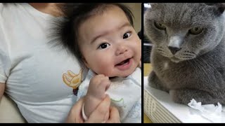 頭にティッシュ乗っけても無反応すずまろ＆天使すーぴー【kokesukepapa】
