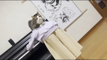 娘の背中で優雅にピアノ鑑賞する猫【ひのき猫】