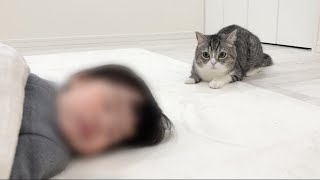 部屋に入ったら赤ちゃんが寝てたときの猫の反応がかわいすぎたww【もちまる日記】