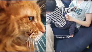 ちぢむ瞳孔と伸びるTシャツ【kokesukepapa】
