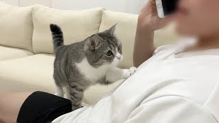 飼い主の長電話に我慢の限界がきた猫がまさかの行動に出ました…【もちまる日記】