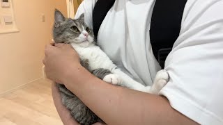 買い物から帰るとお留守番が寂しかった甘えんぼ猫がこうなります…【もちまる日記】