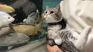 生まれて初めて水族館に来た猫の反応がまじでかわいすぎました…笑【もちまる日記】