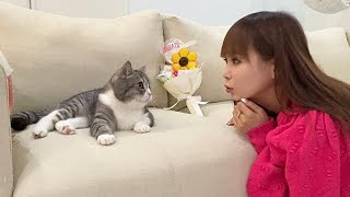 しょこたんに誕生日をお祝いしてもらった猫が大喜びでこうなりました笑【もちまる日記】