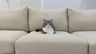もち様　3年間ありがとう【もちまる日記】