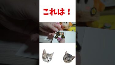 【カービィカフェ限定】おほしさま刺繡キーホルダー　シークレット柄