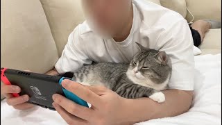一日中ゲームばかりしてたら寂しがり屋な猫がついにこうなっちゃいました…【もちまる日記】