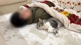 映画を見てたら一緒に寝落ちしちゃってた弟と猫がかわいすぎました…【もちまる日記】