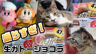 【ローソン】食べ納め『盛りすぎ！生ガトーショコラ』がロールケーキすぎる☆猫に見守られながらのおやつタイム【コンビニスイーツ】