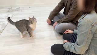 1年ぶりに猫と両親が再会したらまさかの展開になりました…笑【もちまる日記】