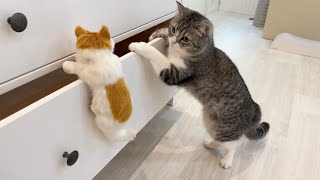 知らない子猫が部屋で遊んでたら猫がまさかのこうなっちゃいました…笑【もちまる日記】
