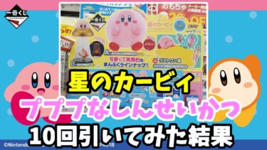 悲しい・・【一番くじ】星のカービィ・プププなしんせいかつを10回引いてみた結果