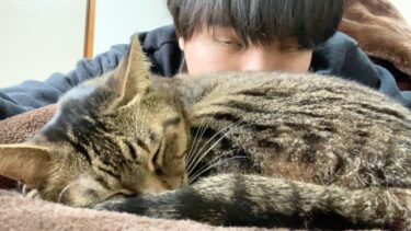 凶暴猫の匂いを背後から嗅ぎまくった結果…【てん動画】