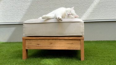 庭に猫のお気に入りのソファを置いてみたら…笑【ポムさんとしまちゃん / ねこべや】