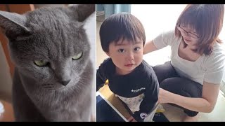 朝のワチャワチャ(むんずもあるよ)【kokesukepapa】
