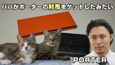 パパさんがポーターの新しい財布を買ってきたみたい！パパさんの秘密部屋吉田カバン/PORTER【リキちゃんねる　猫動画】 キジトラ 猫のいる暮らし