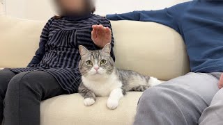 父と母になでなでされたときの猫の態度の差が激しすぎました…w【もちまる日記】