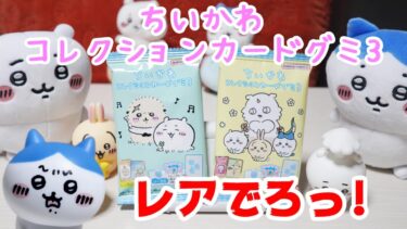 【レア出ろっ！】ちいかわコレクションカードグミ3を２袋だけ購入してみたよ！ガーちゃんのクンクンチェック付き【ちい活・猫動画】