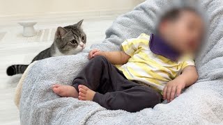 生まれて初めて赤ちゃんを見たら猫たちがまさかのこうなりました…【もちまる日記】