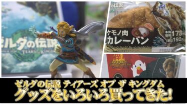 ゼルダの伝説 ティアーズ オブ ザ キングダムのグッズを色々と買ってきた☆リンクのamiiboがかっこいい！イオン予約特典レザー調キーホルダー /からあげクン/アミーボ【購入品紹介】