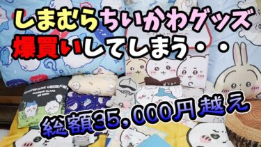 【ちい活】しまむらでちいかわグッズを爆買い！3万5千円もつかってしもた☆購入品21点すべて紹介☆夏用寝具にパジャマにのれん収納ボックス・全部可愛い 【猫のいる暮らし】
