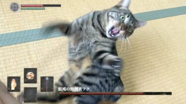 猫に触るのが難易度高すぎて何度も死んでしまう飼い主…【NYANKO SOULS】【てん動画】