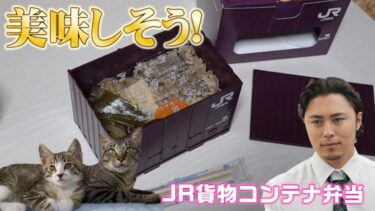 イオンの全国弁当大会で見つけた『JR貨物コンテナ弁当』を紹介！【パパさんの秘密部屋】 キジトラ 猫のいる暮らし