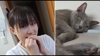 フタについたアイスをむさぼり喰らうママとか冷蔵庫の上のすずとか【kokesukepapa】