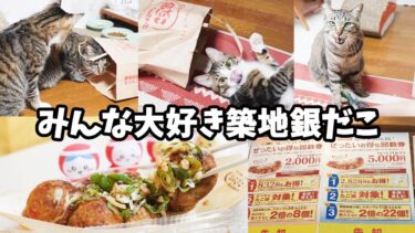 【銀だこ】福袋のたこ焼き引換券の期限が6月末までなので期間限定たこ焼き買って来た☆７月からお得な『夏の回数券』登場！☆猫にも大人気！袋遊びが止まらないゴマちゃん・おしゃべりガーちゃん【猫のいる暮らし】
