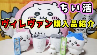 【ちい活】ヴィレッジヴァンガードでちいかわグッズ購入！☆推しのフライトタグ！使えるステンレスマグカップに超かわいいもっちもちクッション☆　我が家の猫もクンクンチェック 【購入品紹介】