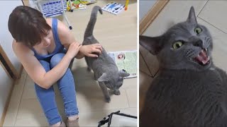 ママ相手だと声が出ちゃう【kokesukepapa】