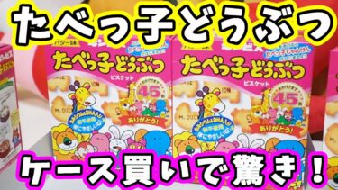 【大発見】たべっ子どうぶつをケース買いしたら驚きの連続！遊び心とおもてなし精神爆盛りだった