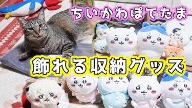 大量のぬいぐるみを飾りたいのでウォールポケットを買ったよ！ちいかわぽてたまぬいぐるみを収納します☆誰より気に入ったのは我が家の猫でした【猫のいる暮らし】