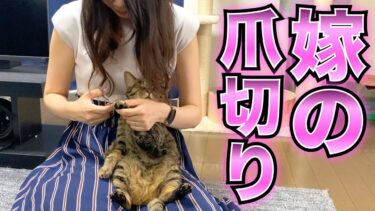 嫁の爪切りは怒らないのに俺が爪切りするとブチギレる猫…【てん動画】