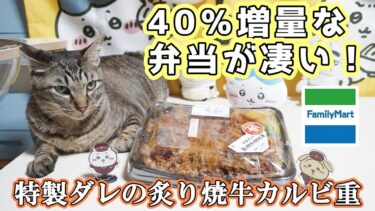 【ファミマがお得すぎる】40%増量の弁当に100円引きのフラッペ！☆1200Kcal越え！重量級『特製ダレの炙り焼牛カルビ重』☆ゴディバ監修のチョコフラッペが絶品