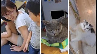 次男の工作を潰す灰色猫とか、爪が引っ掛かる白モフ猫とか【kokesukepapa】