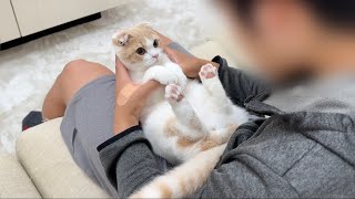 弟に本気噛みしちゃってお説教されてる子猫の反応がかわいすぎました笑【もちまる日記】
