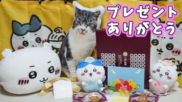 リキちゃんにお供えを頂きました☆ありがとうございます