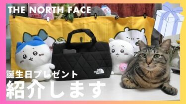 【誕生日🎉】パパがプレゼント🎁でもらったノースフェイスのバッグを紹介！ 【 THE NORTH FACE ジオフェイス ボックス トート】キジトラ 猫のいる暮らし/geoface box tote