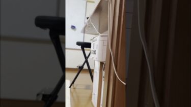 目が合うだけで来てくれる幸せ【ひのき猫】