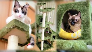 猫達に５年ぶりに長身キャットタワーを作ったら子猫のように喜んでくれた🗼【CuteWoo】