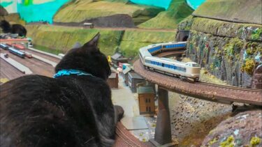 猫怪獣に狙われてなかなか一周出来ないジオラマ食堂の列車【感動猫動画】