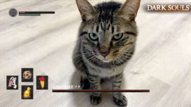 高難易度すぎるゲームで死んだら即配信終了…【てん動画】