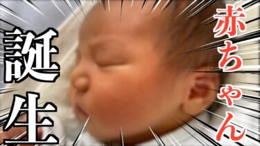 【ご報告】元気な赤ちゃんが生まれました【てん動画】