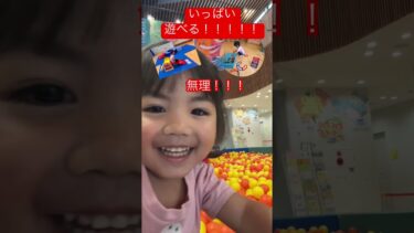 ここで　無料だと！！！！！　#saitama #youtubekidsvideos【感動猫動画】
